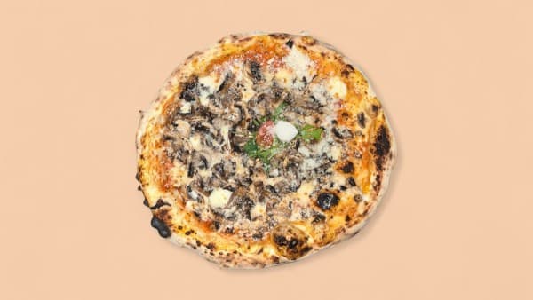 Pizza Funghi